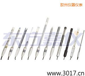 膠州離子選擇性電極