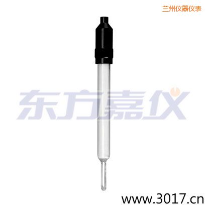 蘭州玻璃外殼無溫補(bǔ)兩線電導(dǎo)率電極