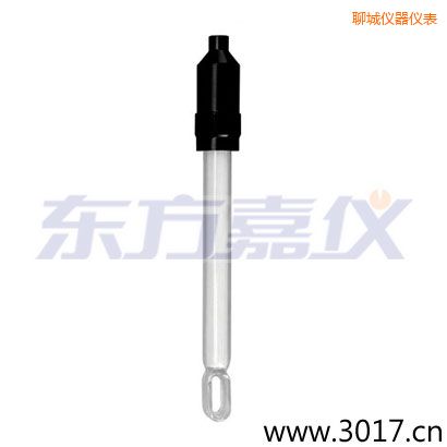 聊城無溫補兩線電導率電極