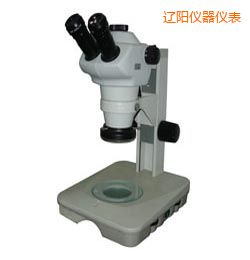 遼陽(yáng)時(shí)代體視顯微鏡