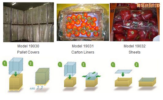 ���uPrimePro EAP ��ϩ�������b [EAP]