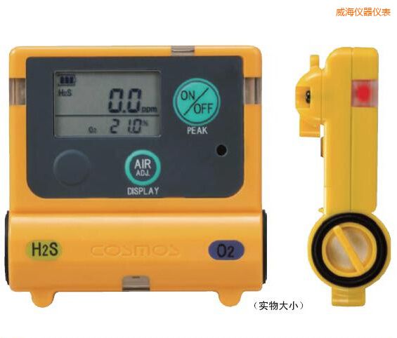 威海復(fù)合型氣體檢測(cè)器