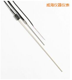 威海R 型和 S 型標準熱電偶