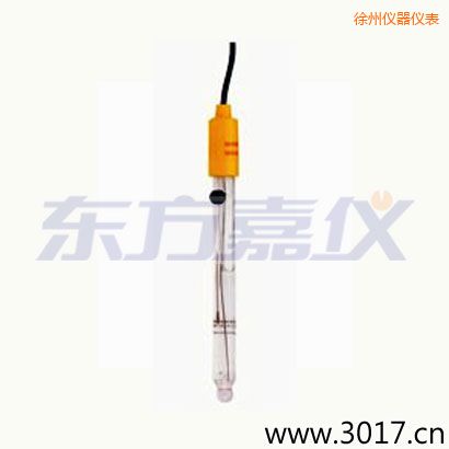 徐州可填充玻璃管電極