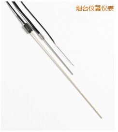 煙臺R 型和 S 型標準熱電偶