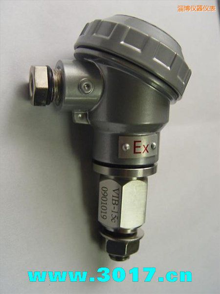 淄博振動(dòng)信號(hào)變送器